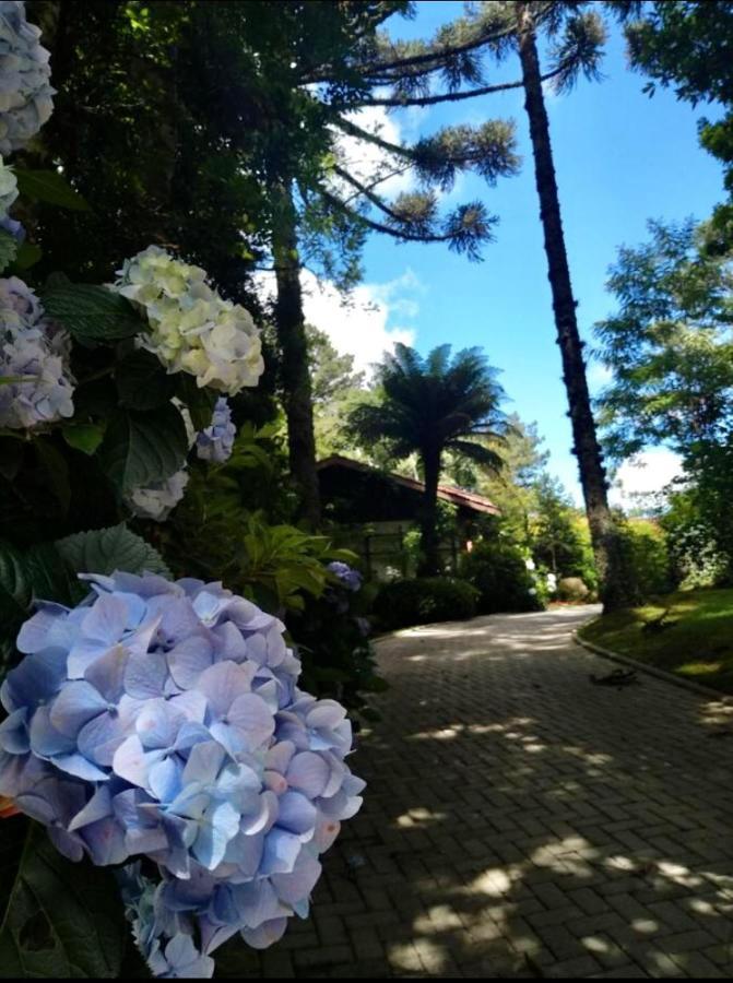 Casa Goldoni Gramado Βίλα Εξωτερικό φωτογραφία